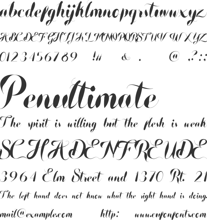 Wolington Swirly Flowing font preview