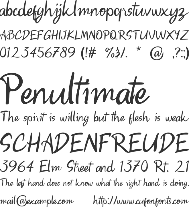 Gunman Fluid Lettering font preview