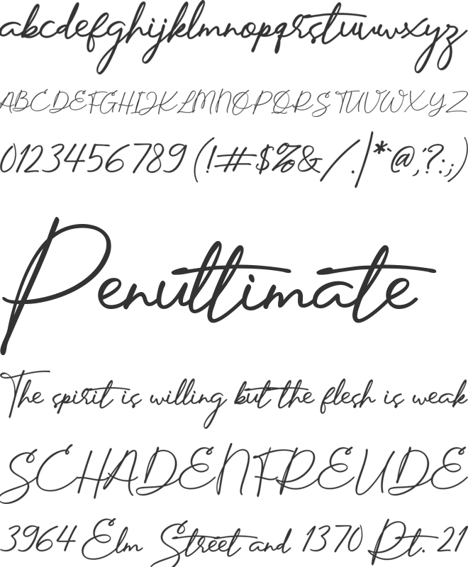 Manifestation Personal Use Only font preview