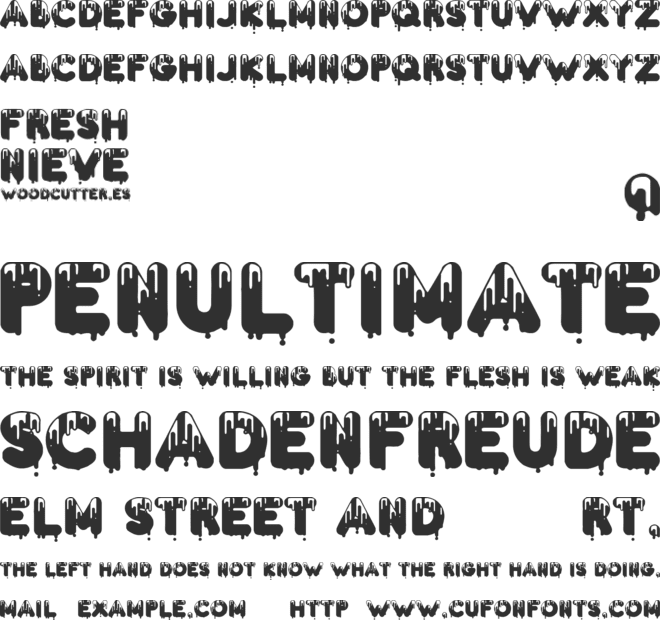 Fresh Nieve font preview