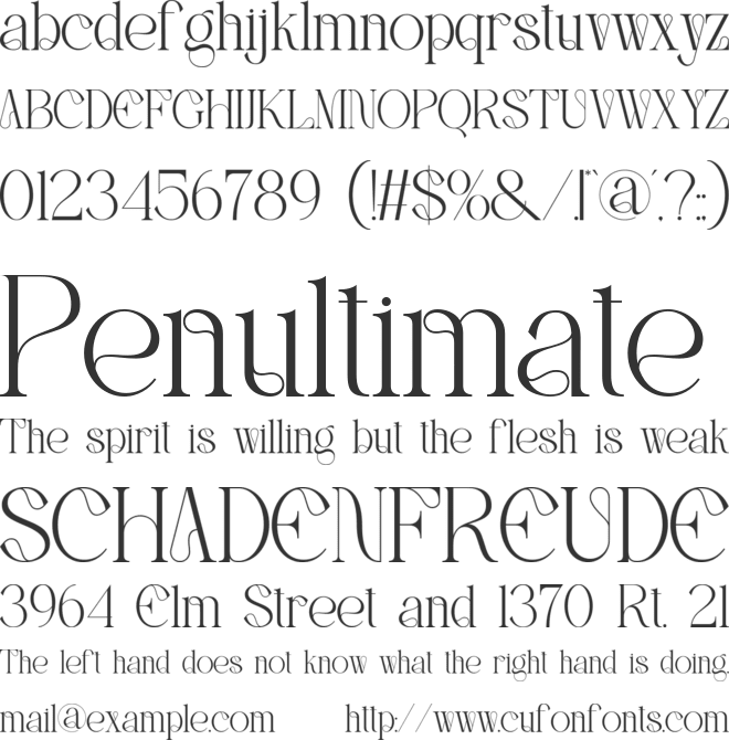 Reichi font preview