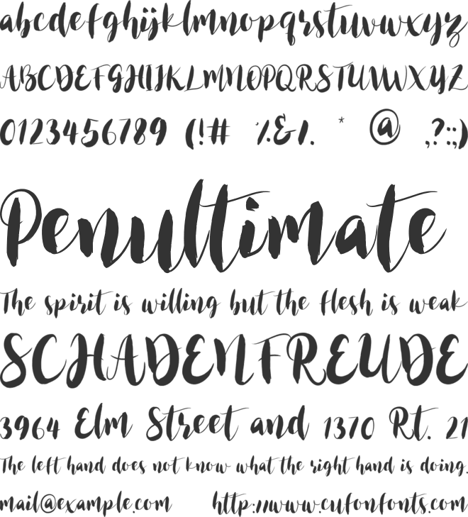 Heatwalk Flowy Signature font preview