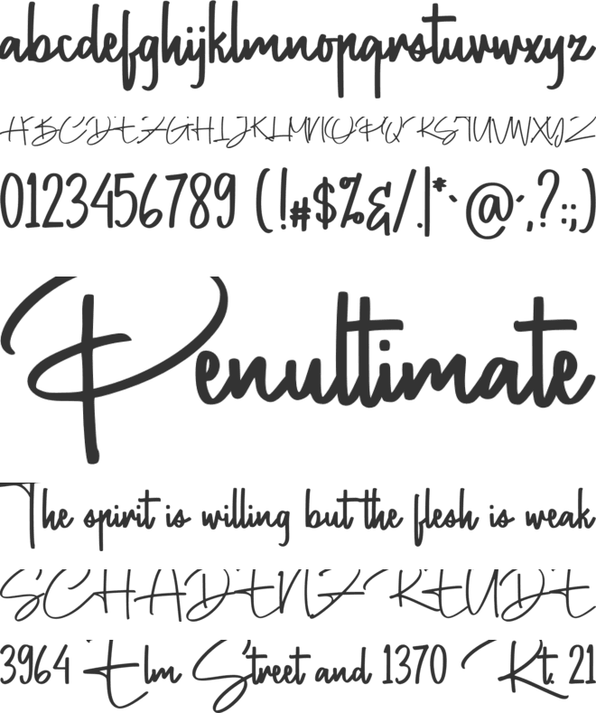 Contradiction font preview