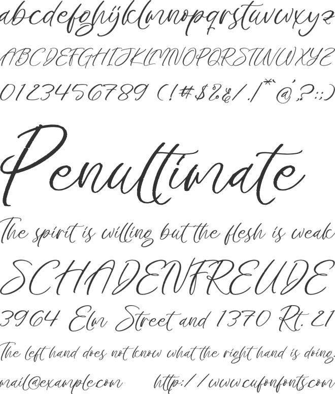 Jaghori Insighte font preview