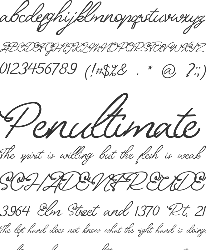Beasticle Elegant Typography font preview