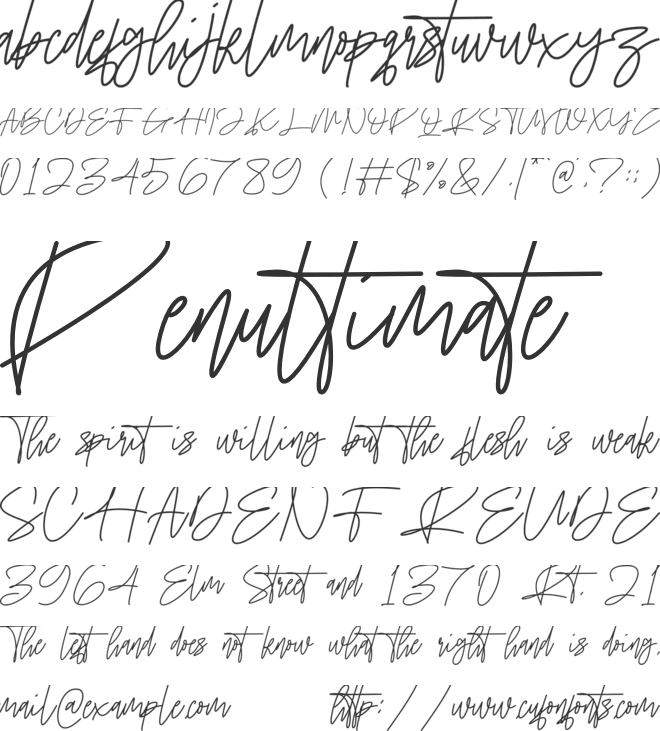 Havelle font preview