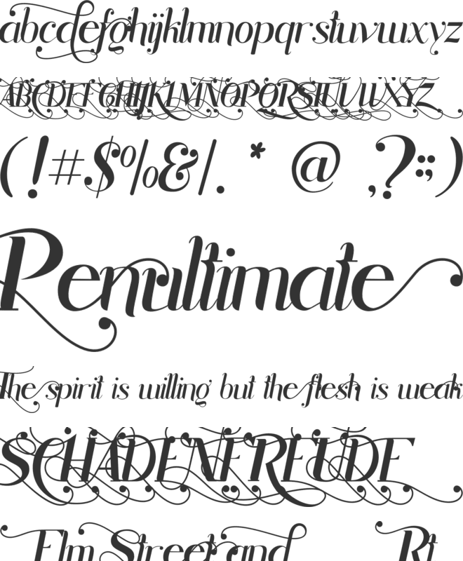 Rhonde font preview