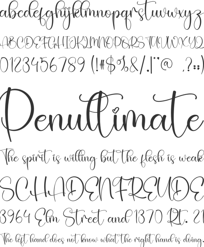 Ainsley font preview