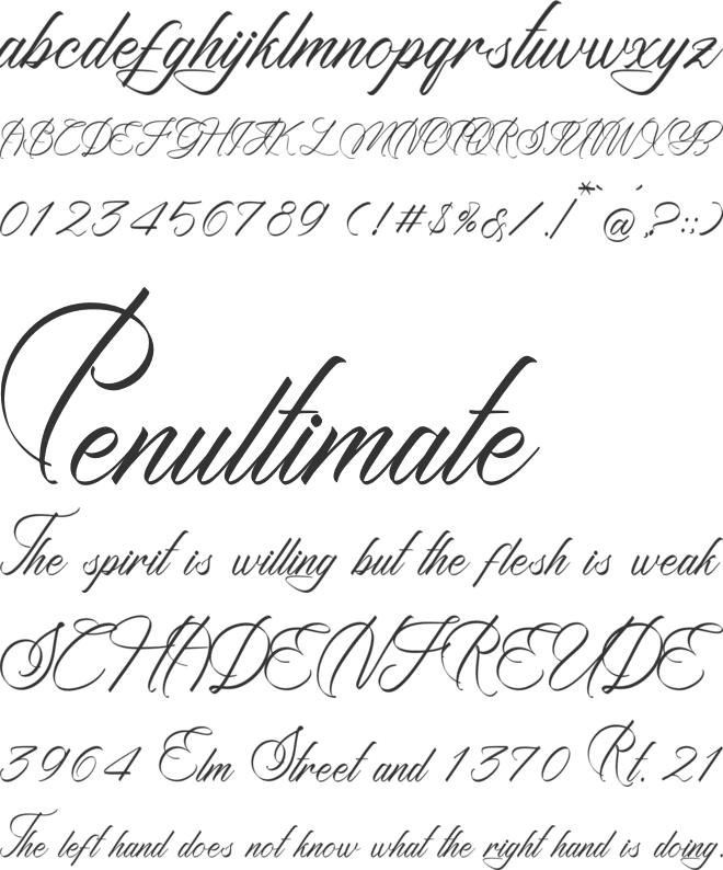 Baxcattery Groonkey font preview
