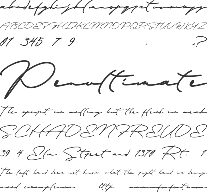 Garitson Demo font preview