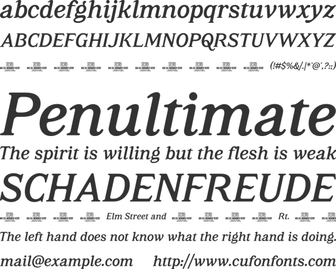 Monimer Serif PERSONAL USE font preview