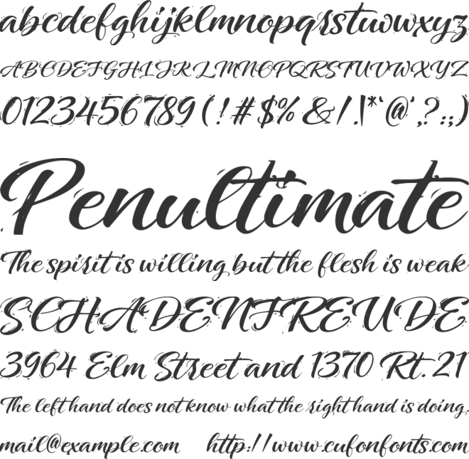 Tropical Cocktail font preview