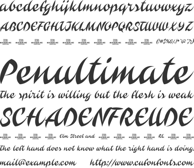 Saluki Juice PERSONAL USE font preview