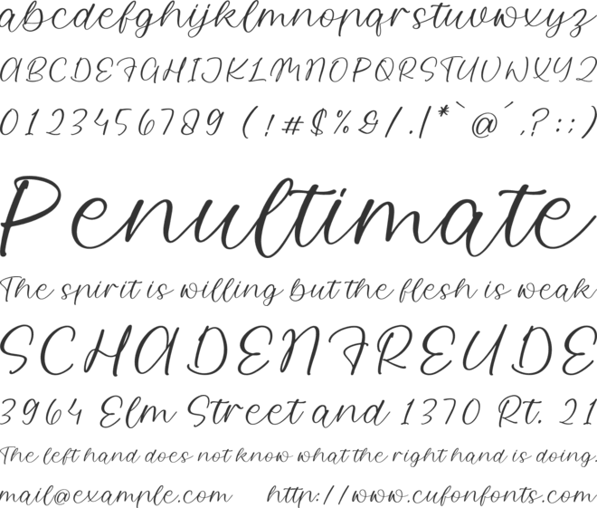 Sutllewis Flonida font preview