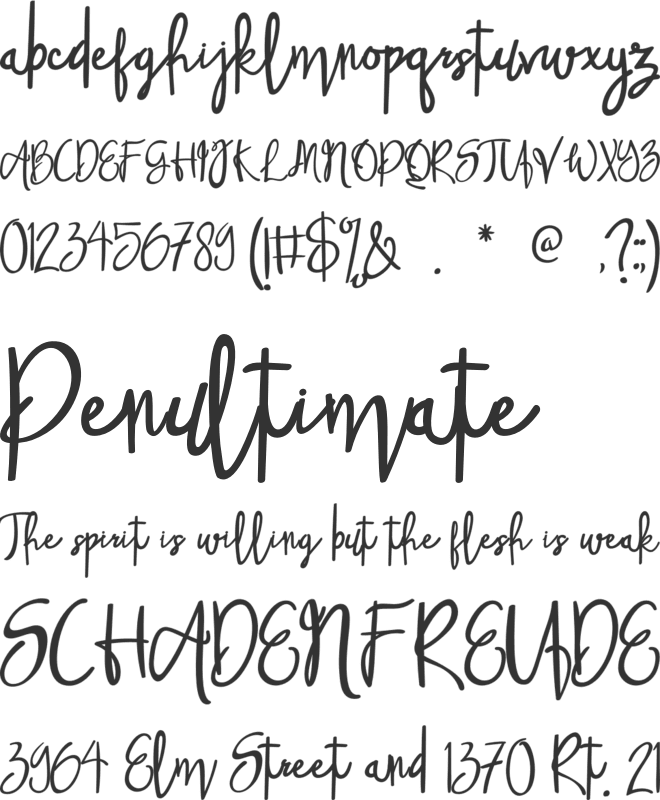 Spice Wallet Connected Style font preview