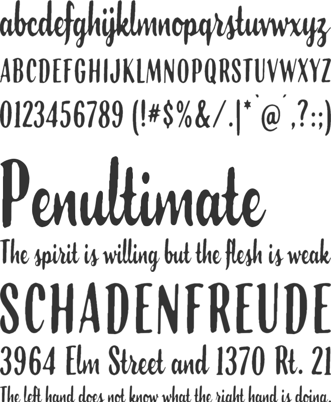 Florida Palms Script font preview