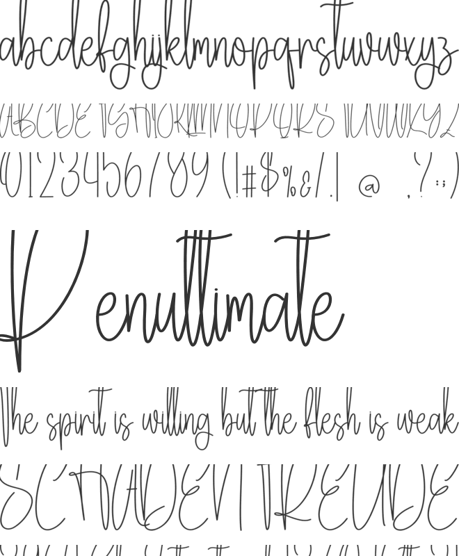 Wedding Birthday font preview