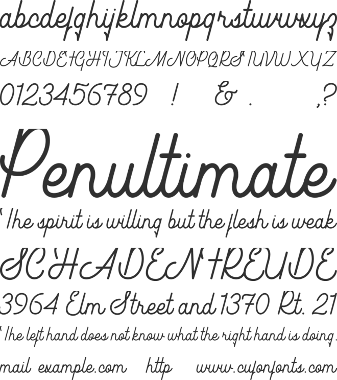 Southfilla Monoline Script Font font preview