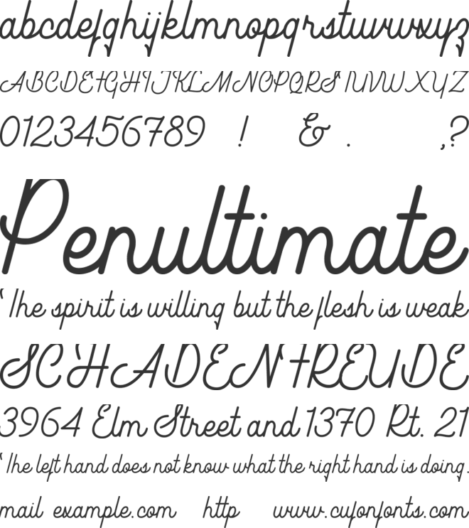 Southfilla Monoline Script Font font preview