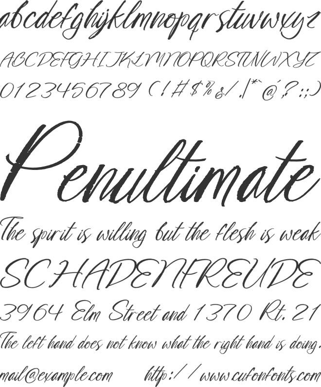 Loopy Milking Brush font preview