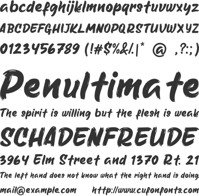 Neoradical Brush Lettering font preview
