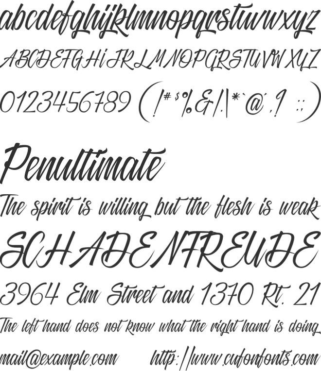 Black Sneakers font preview