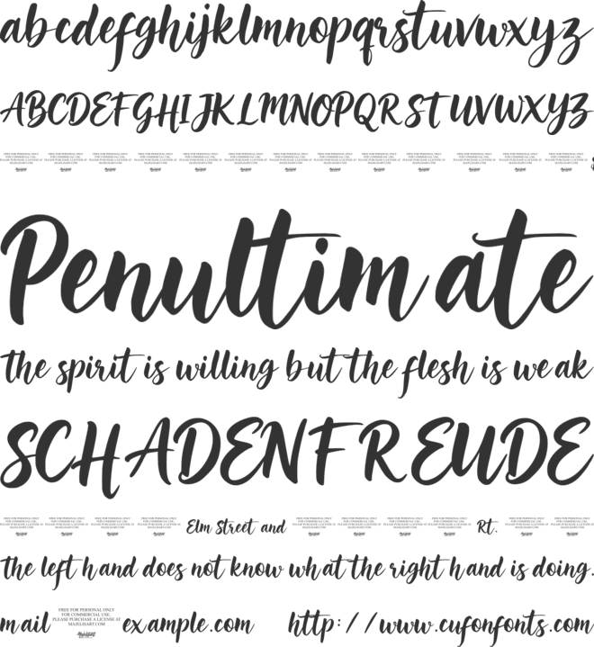 Maisson Zelora font preview