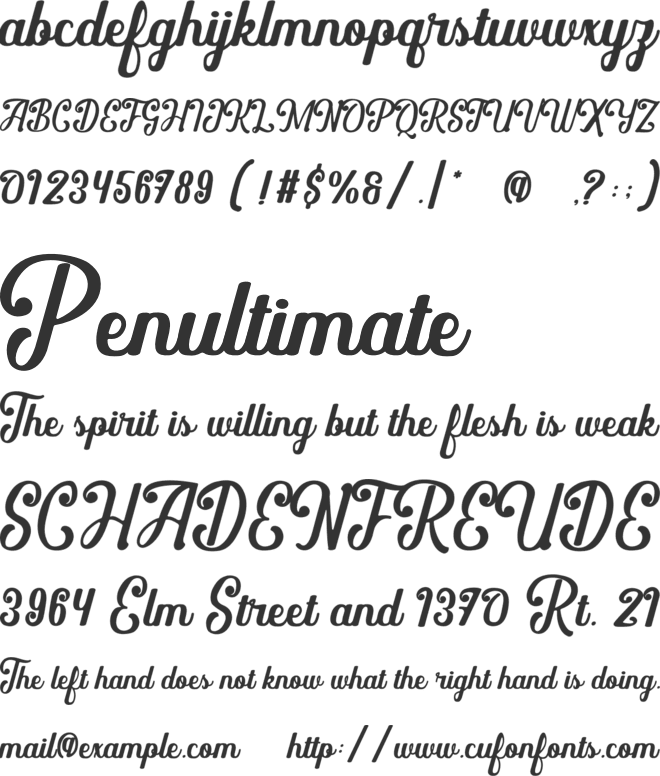 Floravine Romantic font preview