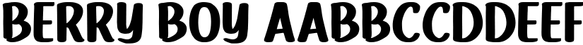 Berry Boy font download