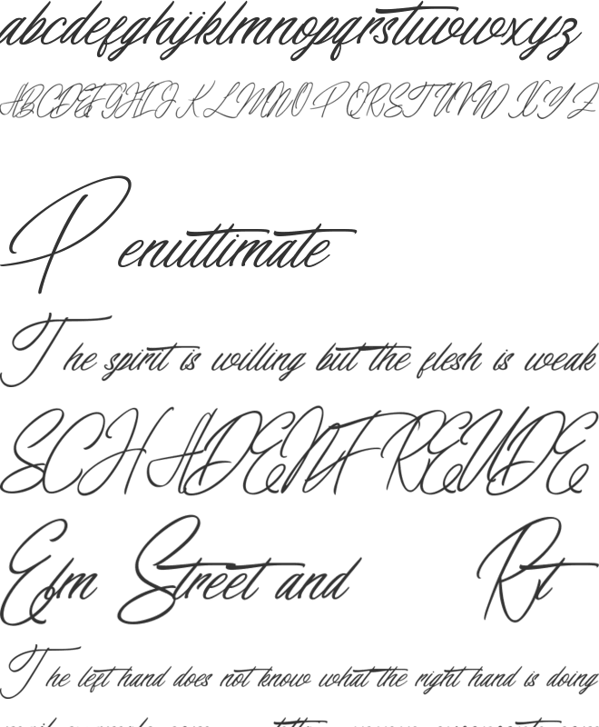 elaineighteen font preview