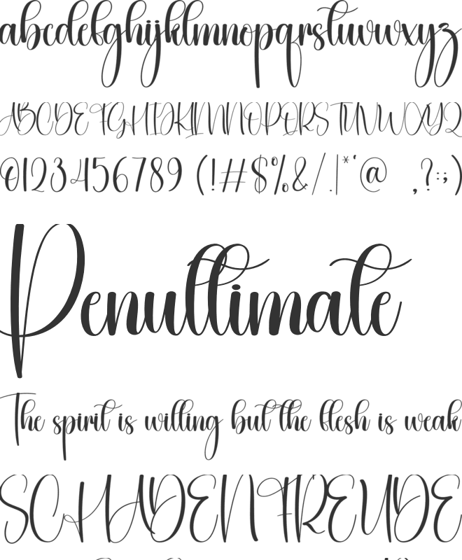 Auntie font preview