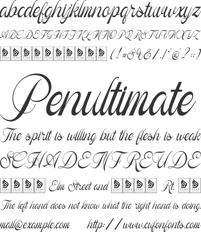 Royal Kaynin font preview
