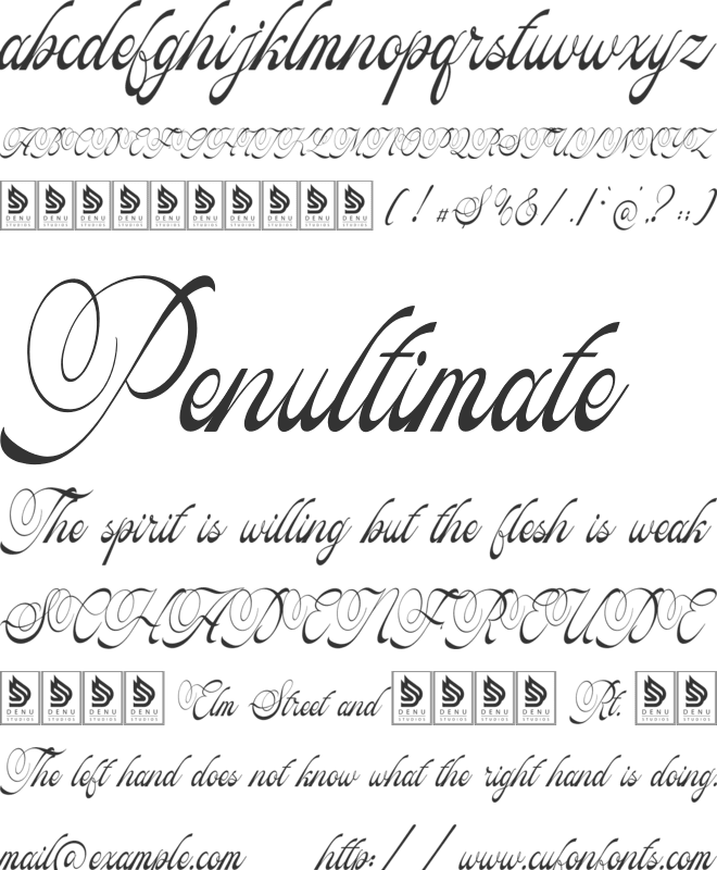 Pitholica Delicate font preview