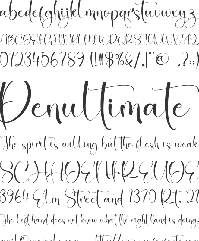 Cherry Blossom font preview