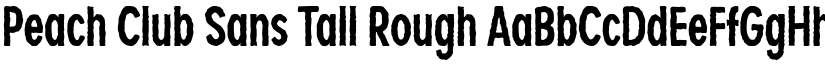 Peach Club Sans Tall Rough font