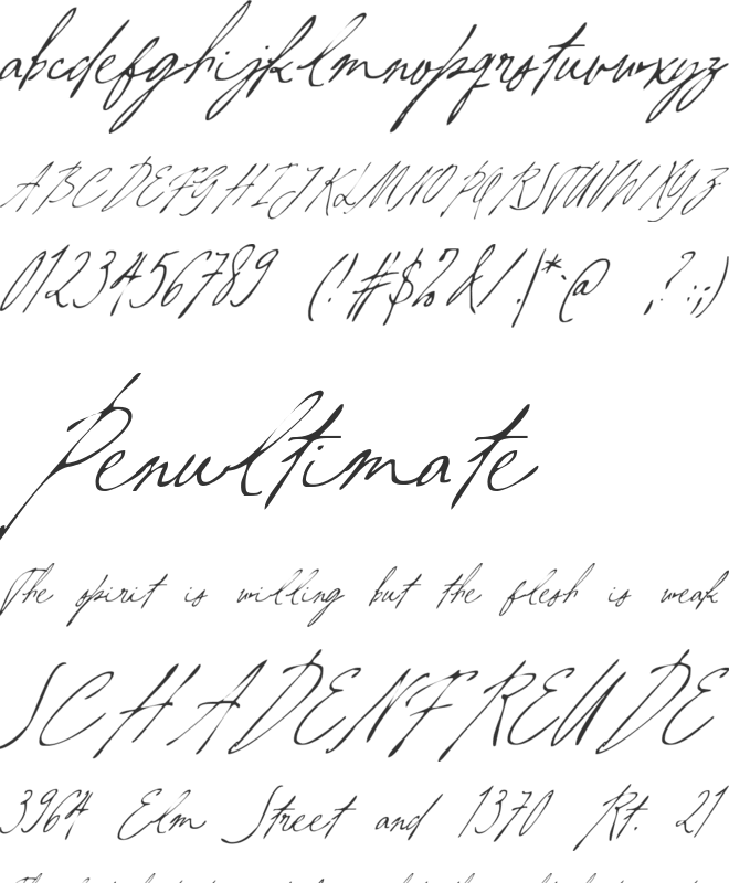 Aesthetic Shine font preview