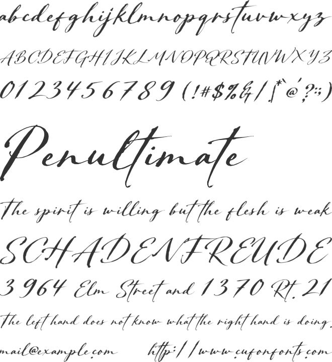 Bethoria Signature font preview