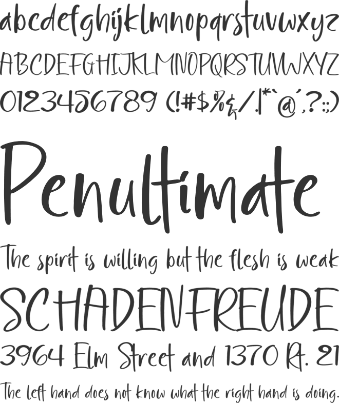 Manifesta font preview