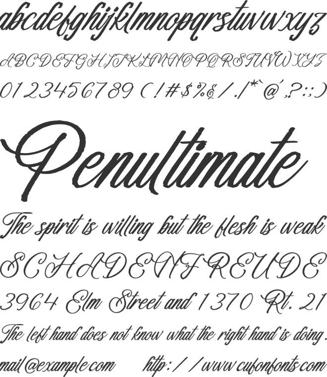 Vakantcy font preview