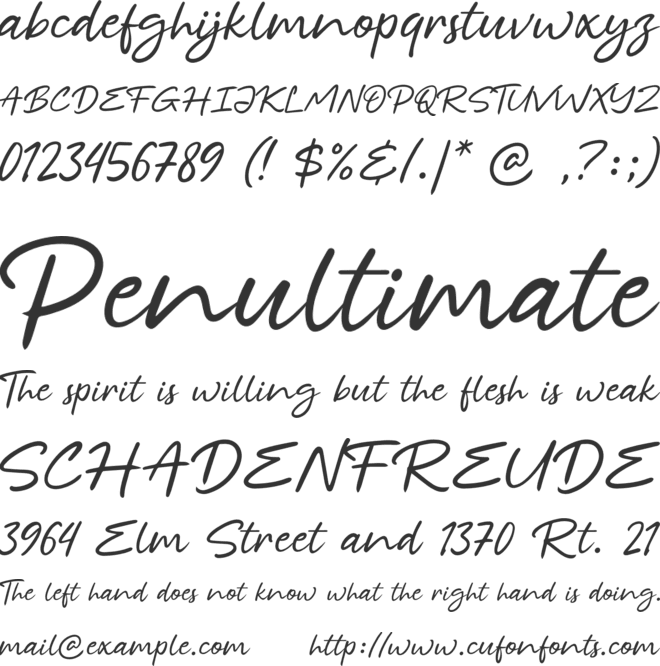 Bonskin font preview