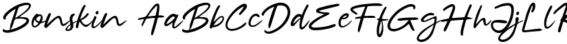 Bonskin font download