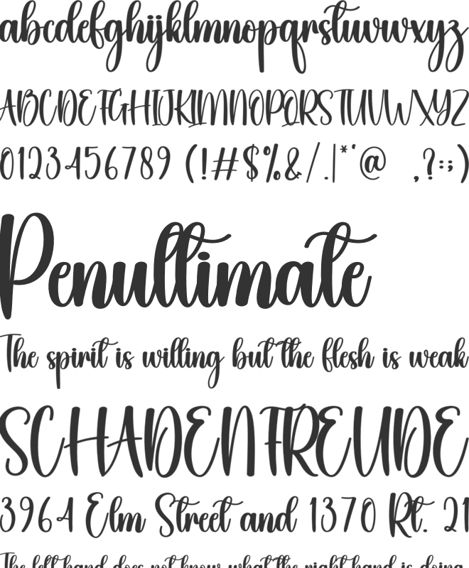 Bushy font preview