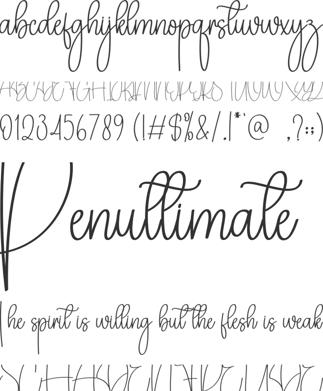 Ashley Signature font preview
