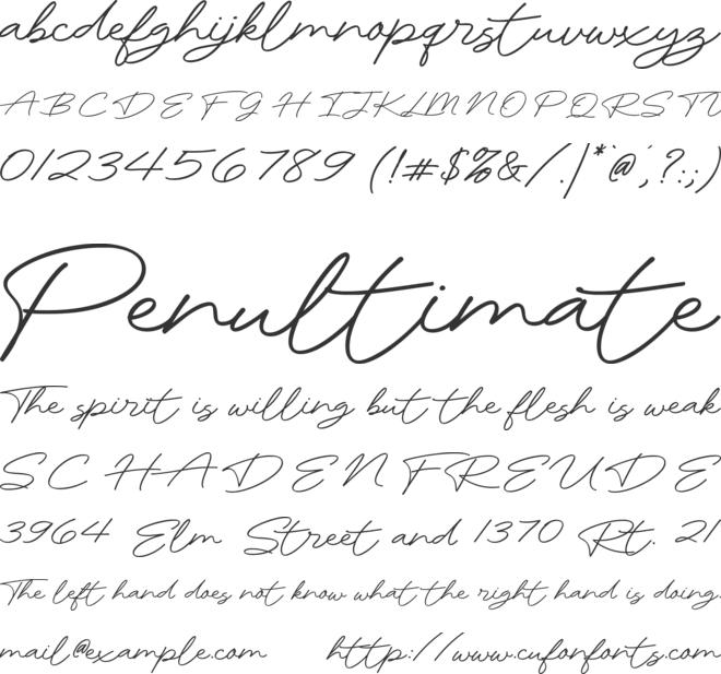Rhetorical Flourish Demo font preview