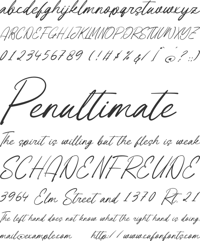 Tender Natural font preview