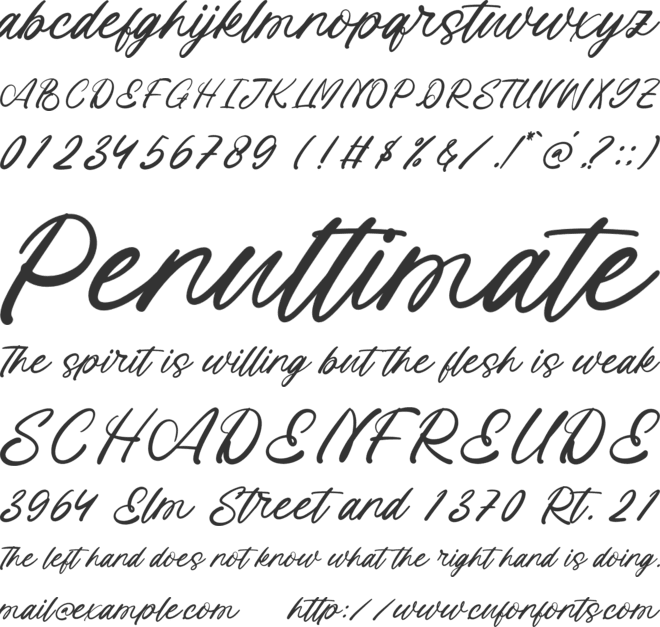 Island Paradise font preview