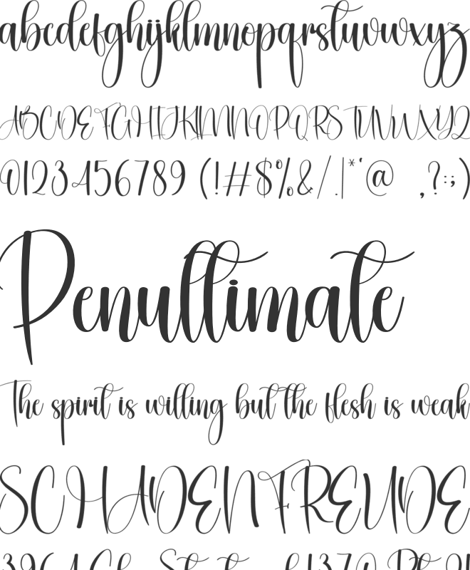 Seahourse font preview