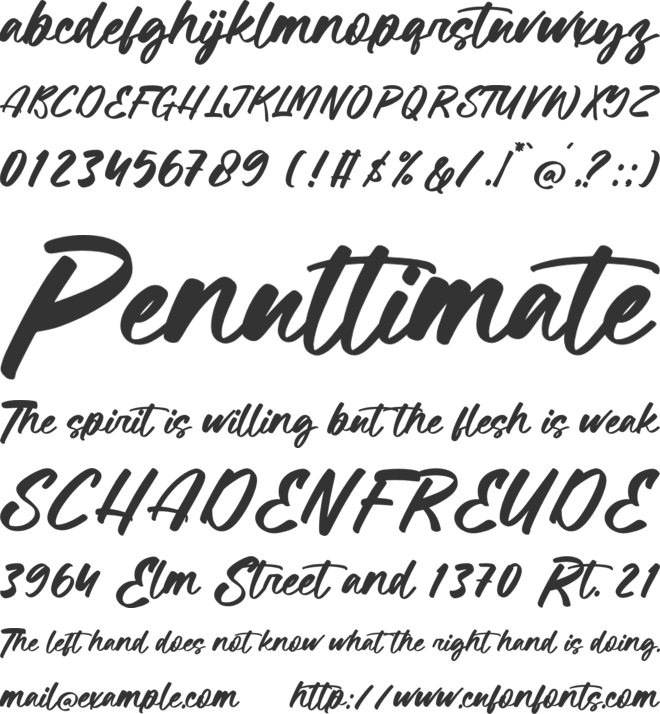 Revival Analog font preview