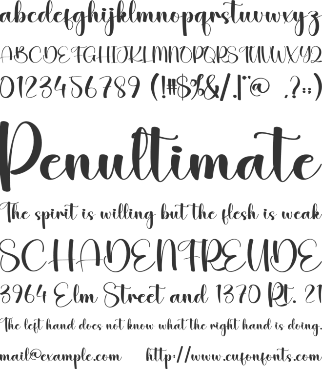 Ainsley Signature font preview