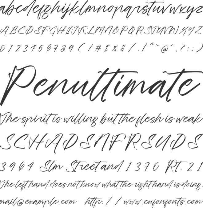Tirgola font preview